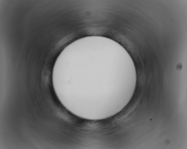 X0000101690071200808071144