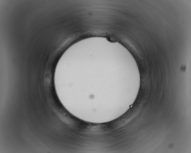 X0000101690072200808071144