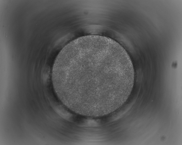 X0000101690073200808071144