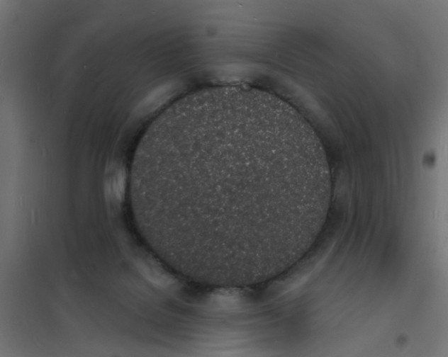 X0000101690076200808071144