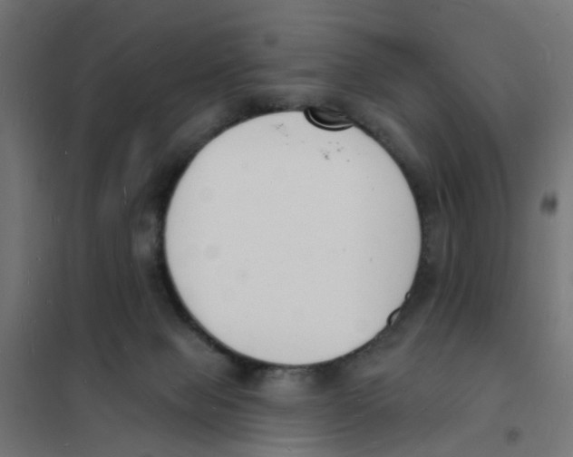 X0000101690077200808071144