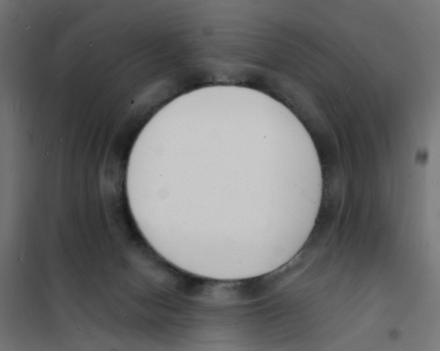 X0000101690078200808071144