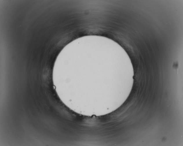 X0000101690079200808071144