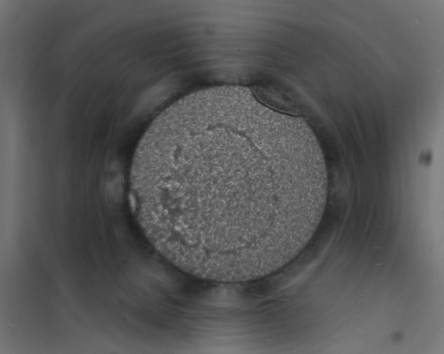 X0000101690080200808071144