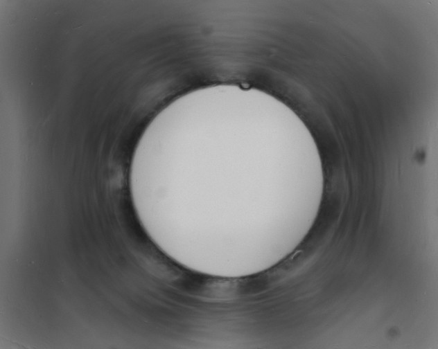 X0000101690084200808071144