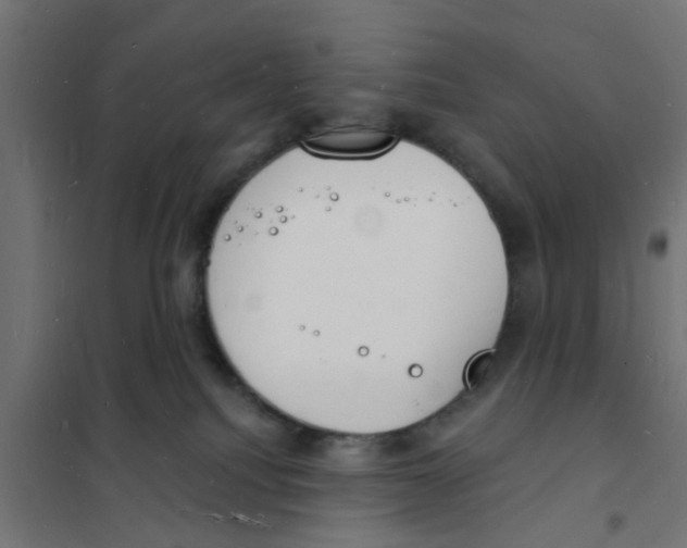 X0000101690088200808071145