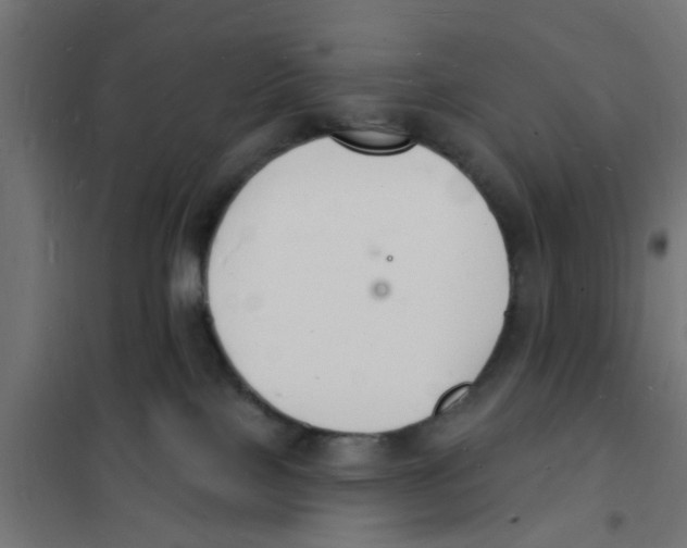 X0000101690089200808071145