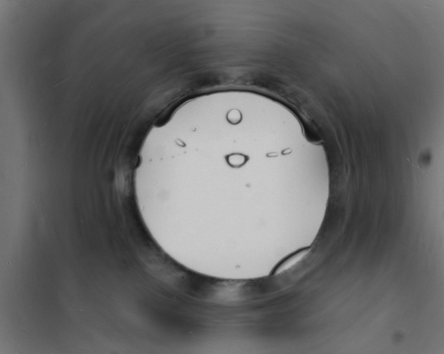 X0000101690090200808071145