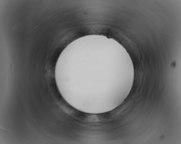 X0000101690091200808071145