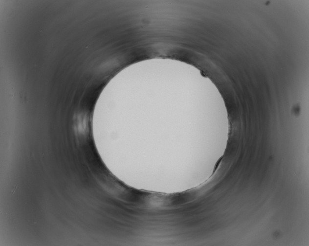 X0000101690094200808071145