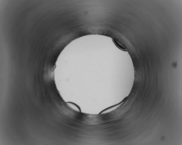 X0000101690095200808071145