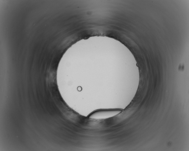 X0000101690096200808071145