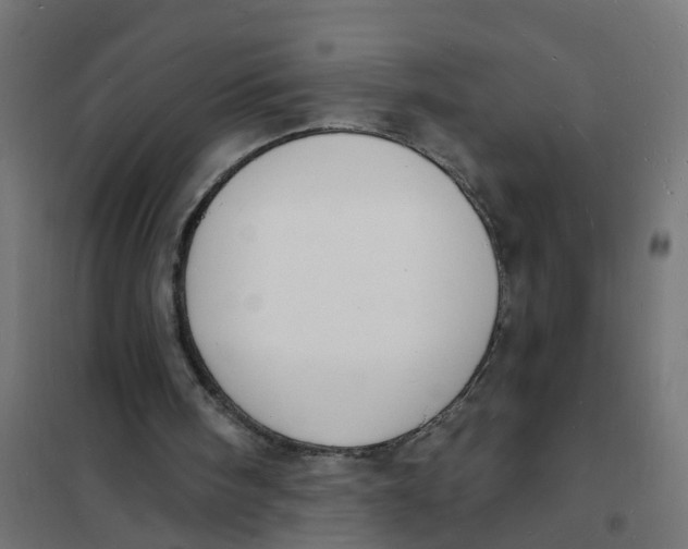 X0000101690098200808071144