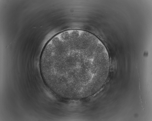 X0000101690099200808071144