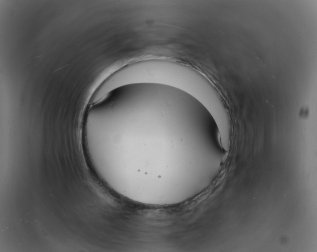 X0000101690100200808071144