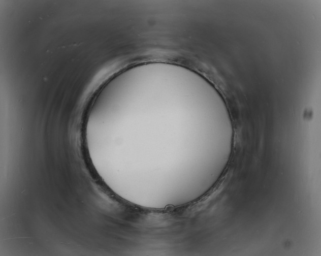 X0000101690101200808071144