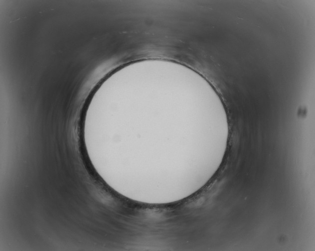 X0000101690103200808071144