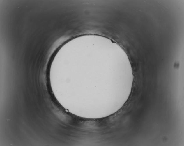 X0000101690104200808071144