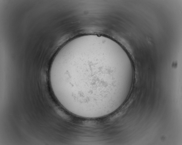 X0000101690105200808071144