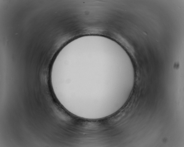 X0000101690107200808071144