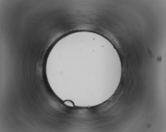 X0000101690108200808071144