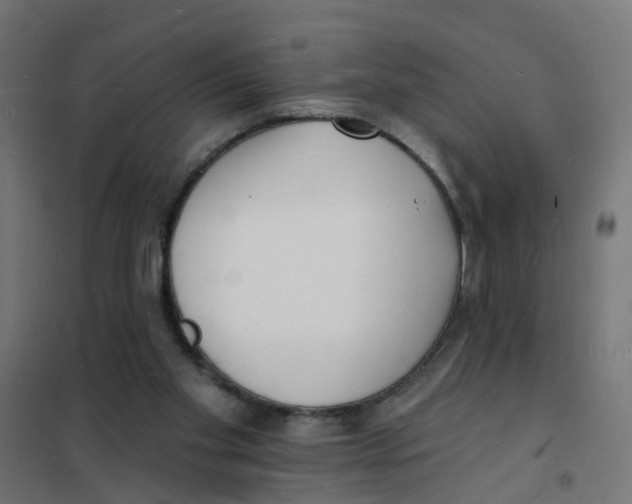 X0000101690109200808071144