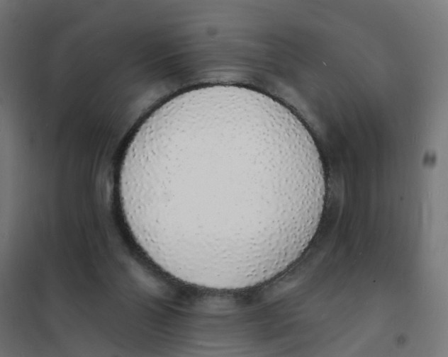 X0000101690110200808071144