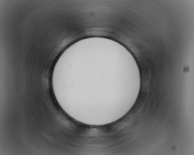 X0000101690111200808071144