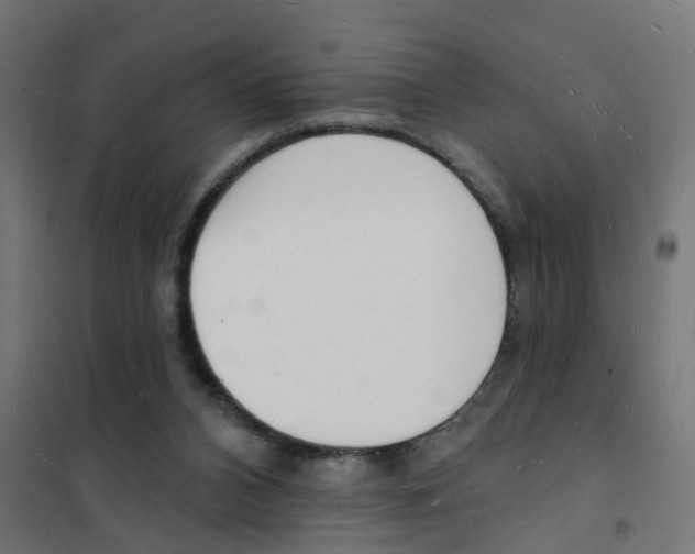 X0000101690112200808071144