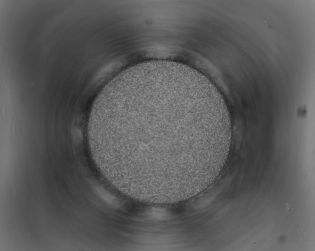 X0000101690114200808071144