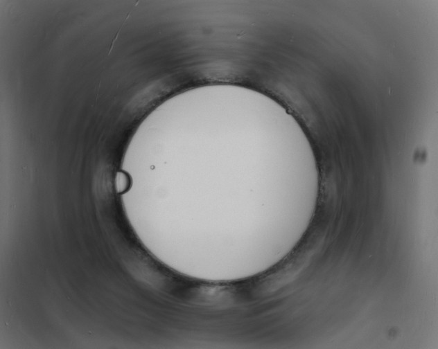 X0000101690117200808071144