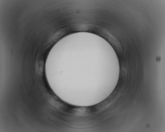 X0000101690118200808071144