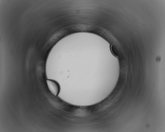 X0000101690119200808071144