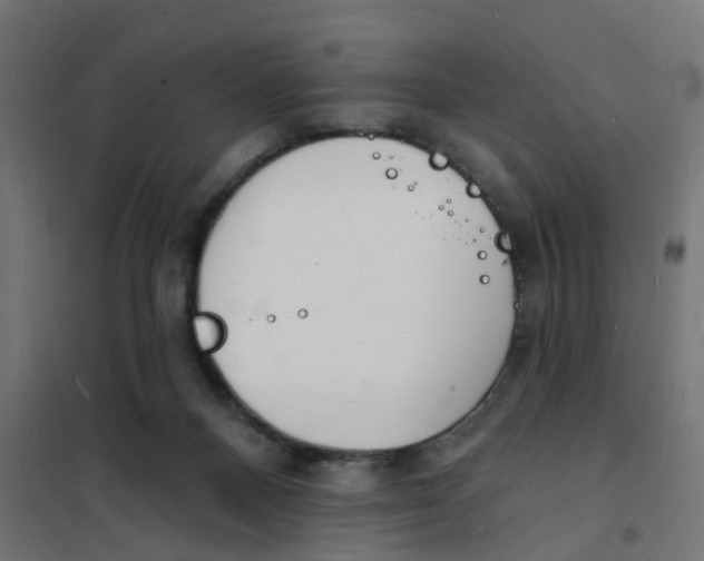 X0000101690120200808071144