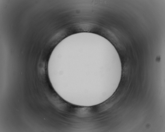 X0000101690122200808071144