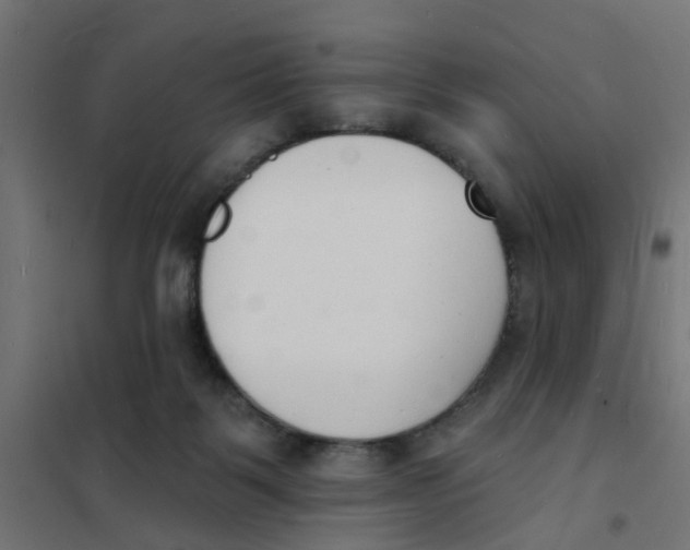 X0000101690123200808071144