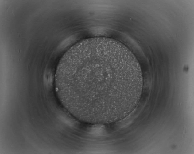 X0000101690124200808071144