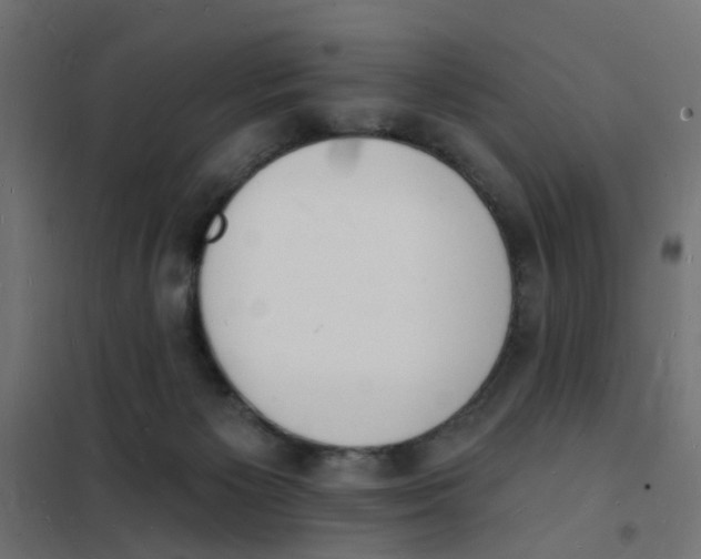 X0000101690125200808071144