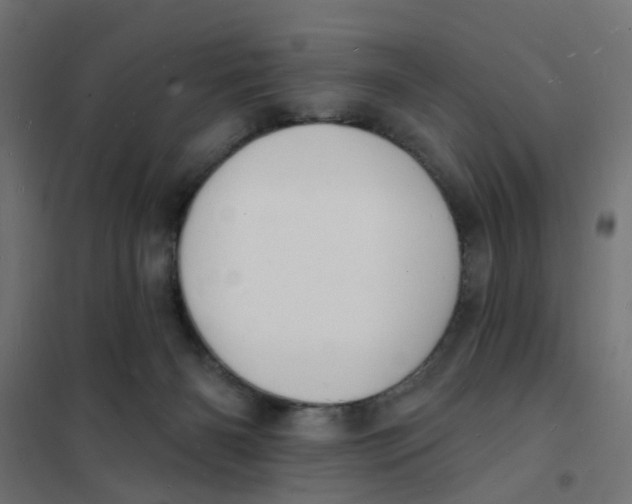 X0000101690126200808071144