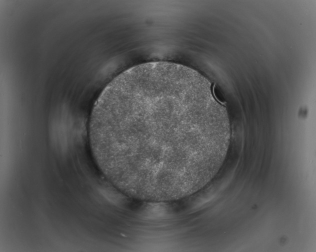 X0000101690127200808071143