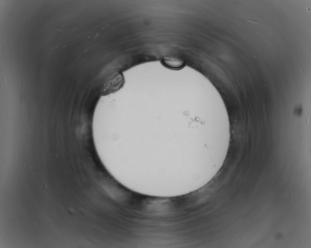 X0000101690132200808071143