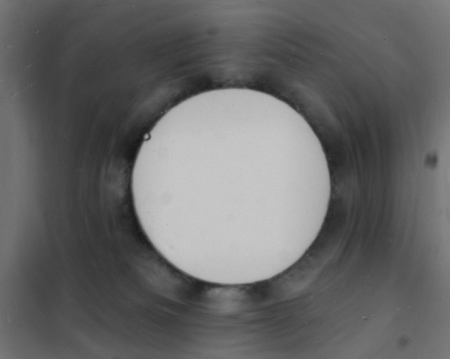 X0000101690133200808071143