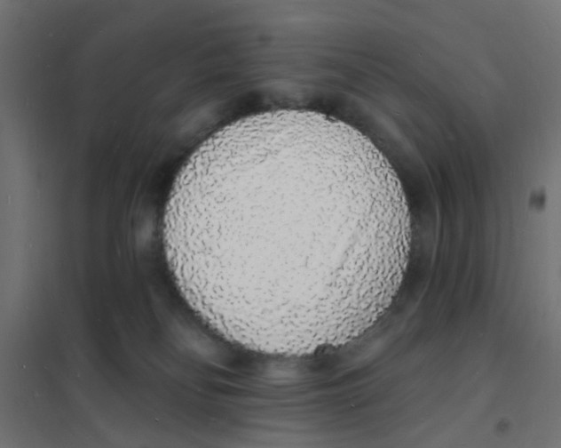 X0000101690134200808071143