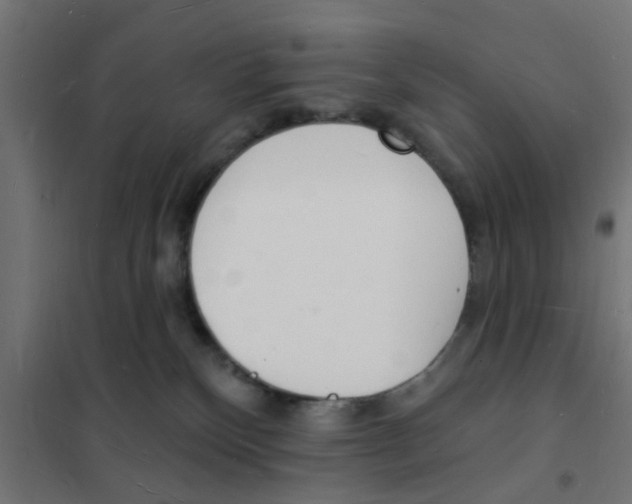 X0000101690136200808071143