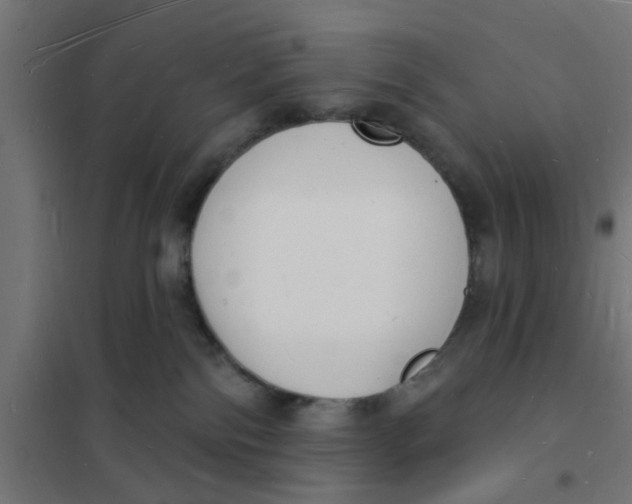 X0000101690138200808071143