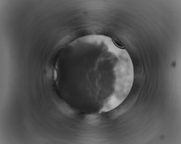 X0000101690139200808071143