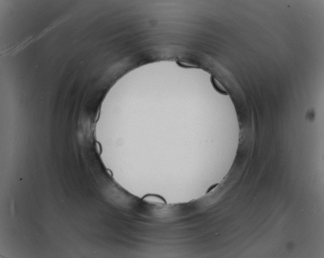 X0000101690142200808071143