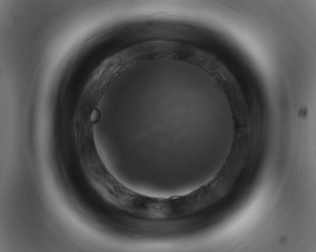 X0000101690143200808071143