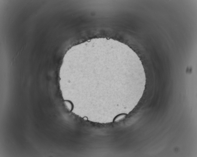 X0000101690144200808071143