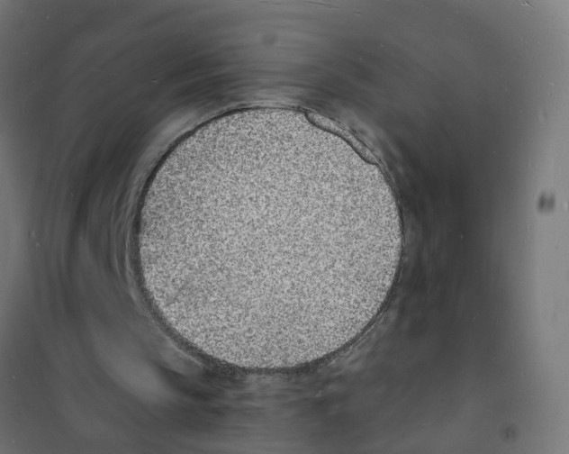 X0000101690145200808071143